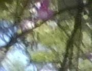 wp_20150704_13_42_36_selfie.jpg