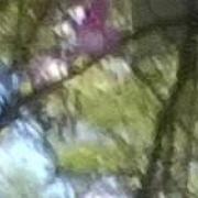 wp_20150704_13_42_36_selfie.jpg
